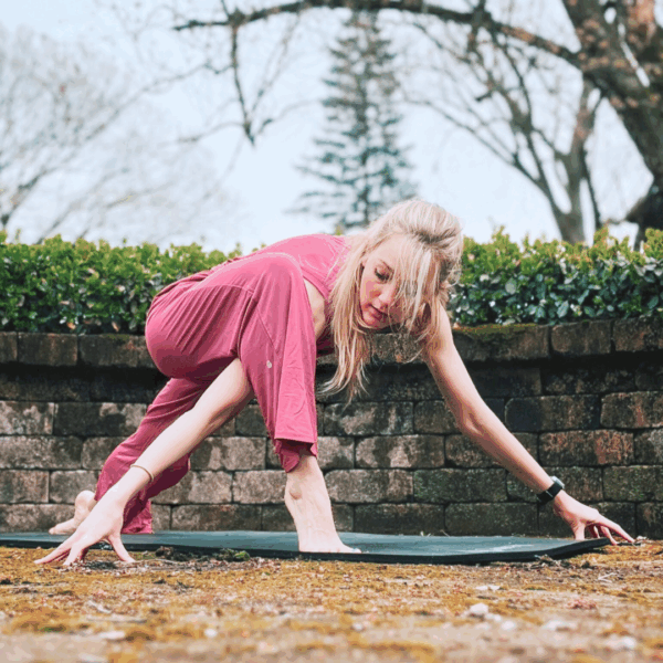 Bamboo Universal Pant ~ Rose